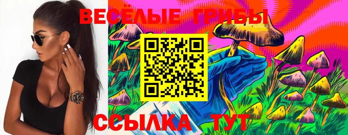 Галлюциногенные грибы Cubensis  Галлюциногенные грибы Magic Shrooms  Вход с VPN  Янаул 
